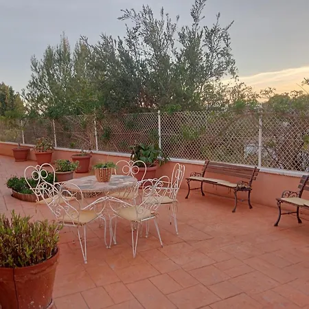 Marovi Bonalba Alicante